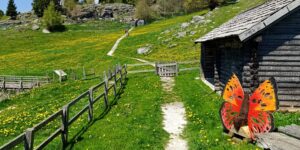Il giardino botanico “Dario Broglio” di Lusiana Conco. Scrigno di biodiversità