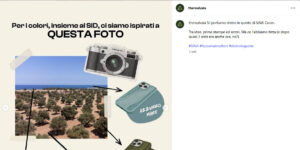Una cover per far rinascere il Salento. Oliver Matter è un materiale che non esisteva. Non è solo legno, non è solo un polimero