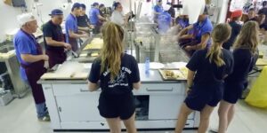 Quero Setteville. Torna la “sagra dei s’cios”, delle lumache