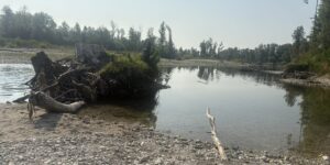 La grande sete dei fiumi nel Padovano