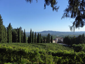 Conventuali a San Pietro di Barbozza. Tra devozione e confessioni c’è spazio anche per il Prosecco Docg del convento