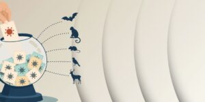 Più uomini sulla Terra, più “salti” di malattie tra animali ed esseri umani
