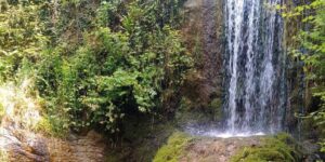 Pieve del Grappa. Cammino partecipato dedicato al Lastego