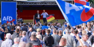Sassonia-Anhalt: Afd primo partito? Del Re: “La politica deve cambiare, servono leader credibili”