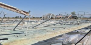 Serre sventrate e filari a terra: il Montagnanese conta i danni del fortunale