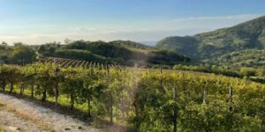 Rally sui Colli, è bufera. Corsa il 21 e il 22 novembre