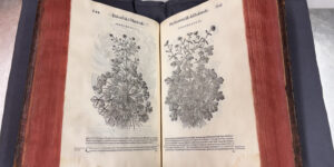 Praglia, i restauri “storici”. Qui riapparve un frammento della Vita nuova di Dante