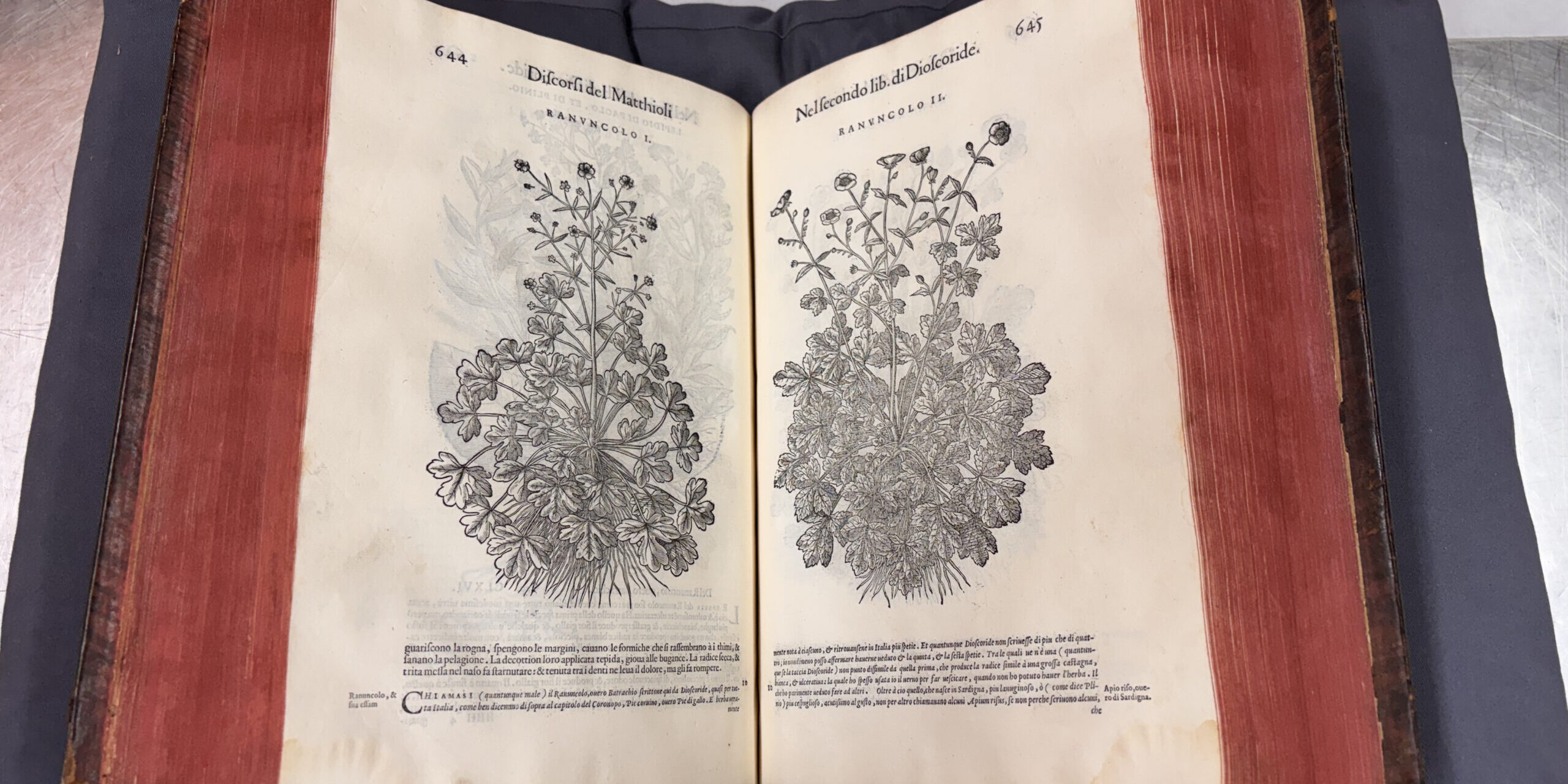 Praglia, i restauri “storici”. Qui riapparve un frammento della Vita nuova di Dante