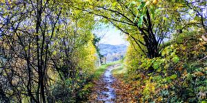 Beatitudini, la strada per una vera santità