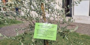 Arsego, radici salde per mettere le ali