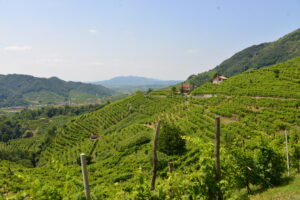 Veneto. Sulle tracce di san Francesco e dell’essenziale