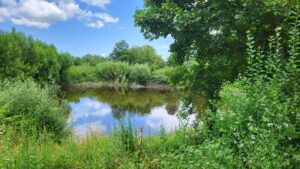 Dal globale al locale: corso di formazione all’ecologia integrale
